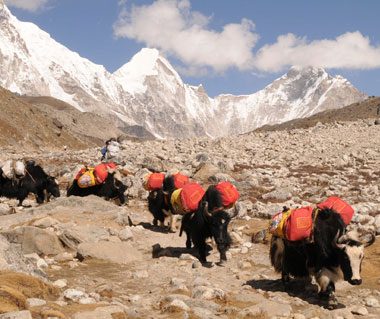 Everest Base Camp Trekking