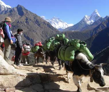 Everest Panaroma Trekking