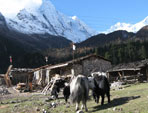 Tour manaslu